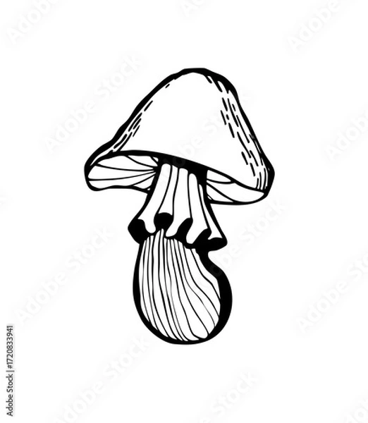 Fototapeta Vector illustration of a magic mushroom for witch's potions. Hand-drawn black and white graphic illustration for cards, notepads, stickers, and crafts.
