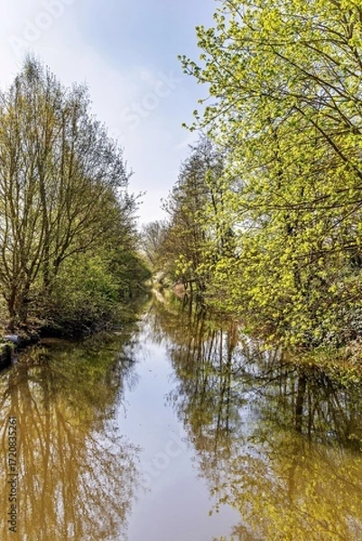 Obraz autumn trees reflected in water