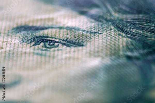 Fototapeta Close-Up View of Intricate Details on Paper Currency Face
