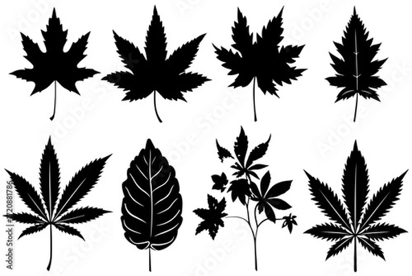 Fototapeta "Leaf Silhouette Vector Bundle"

"Assorted Tree and Plant Leaves Silhouette Set"

"Black Leaf Shapes Clipart Collection"
