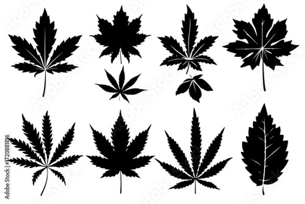 Fototapeta "Leaf Silhouette Vector Bundle"

"Assorted Tree and Plant Leaves Silhouette Set"

"Black Leaf Shapes Clipart Collection"
