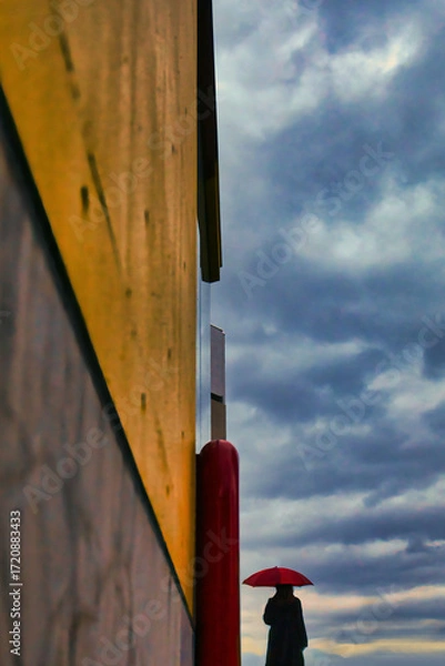 Obraz 曇天を眺める赤い傘の女性