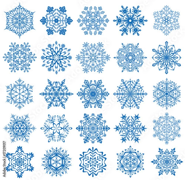 Fototapeta Snowflakes