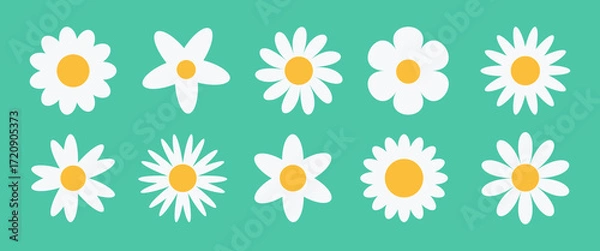Fototapeta Camomile flower icon set vector. White daisy chamomile  collection isolated on green background.