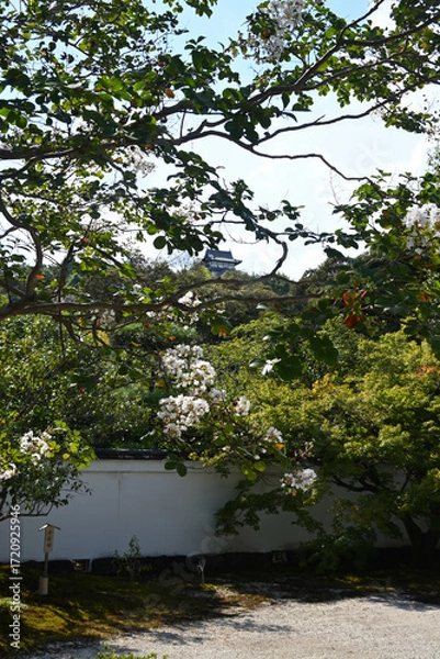 Fototapeta 日本庭園「有楽苑」にて、遠方に犬山城