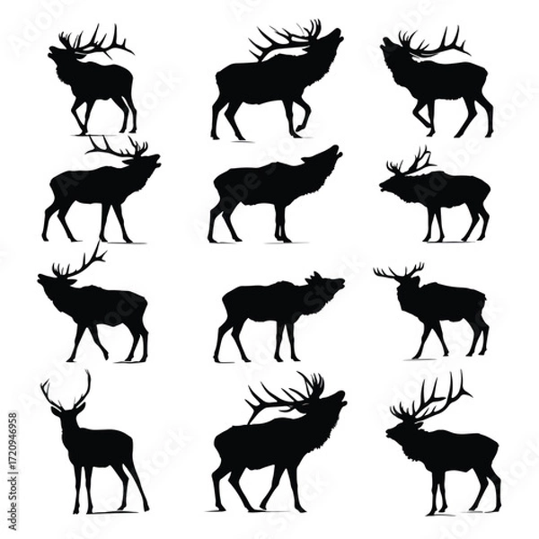 Fototapeta Black and white elk bugling silhouette set
