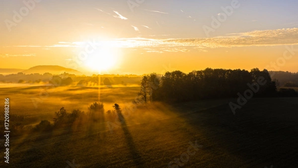 Fototapeta Sunrise Casting Long Shadows Over Foggy Fields and Trees