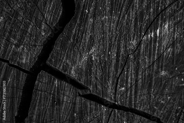 Fototapeta wood texture background