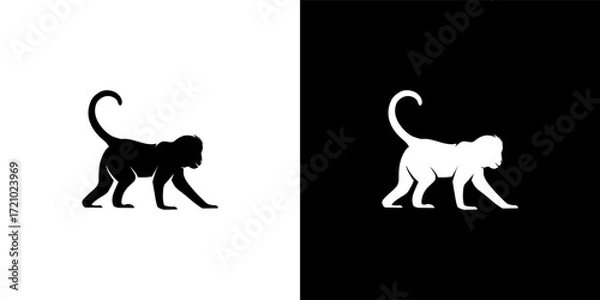 Obraz Monkey Silhouette. animals. vector illustration
