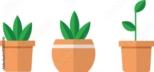 Fototapeta Three potted plants with green leaves in a minimalist style on a white background illustration