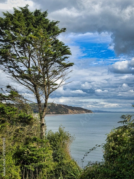 Obraz Seaton coast in Devon. UK