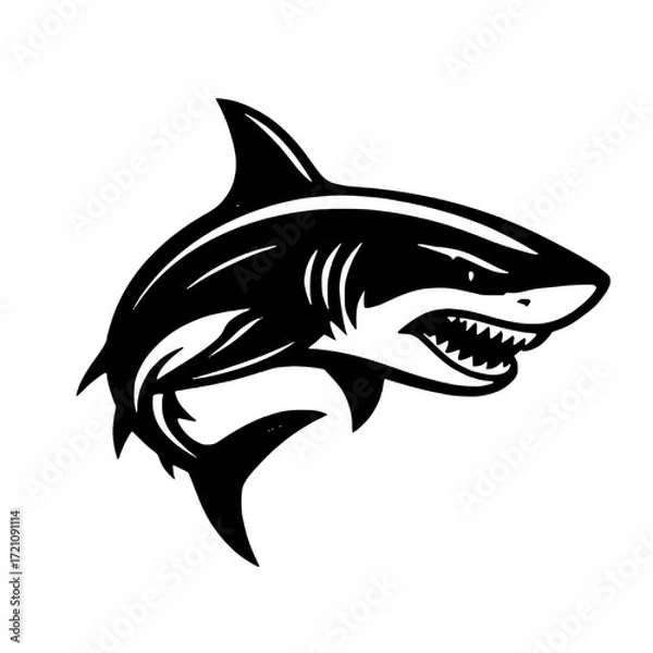 Fototapeta shark vector illustration