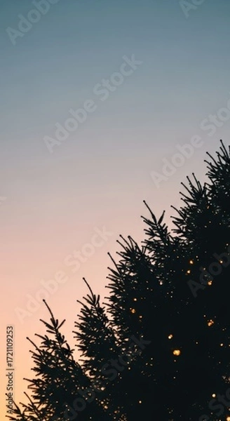 Fototapeta Silhouette of evergreen trees against a soft gradient sky at dusk.