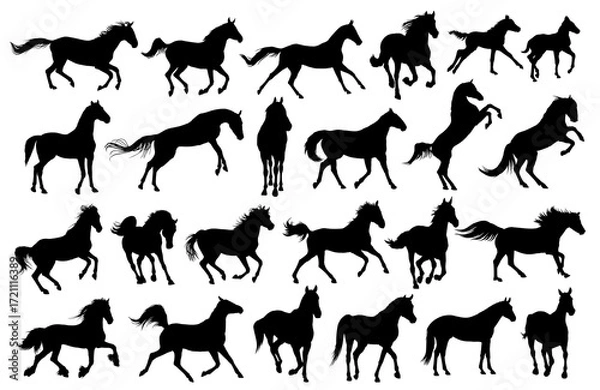 Fototapeta The big set of horses silhouettes. 

