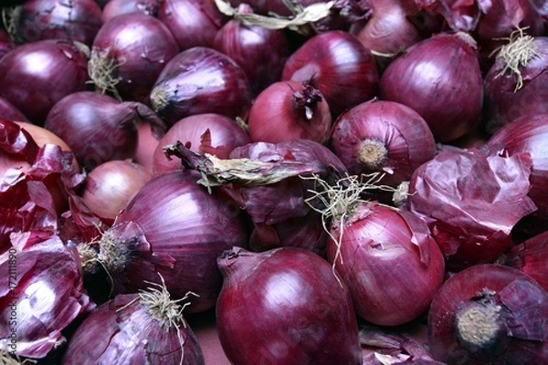 Obraz Cebolla morada