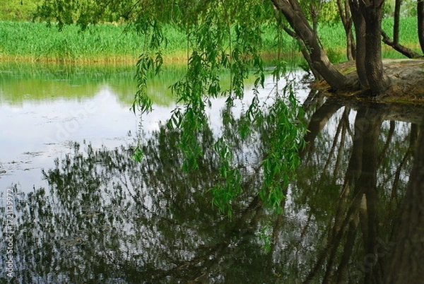 Fototapeta reflection