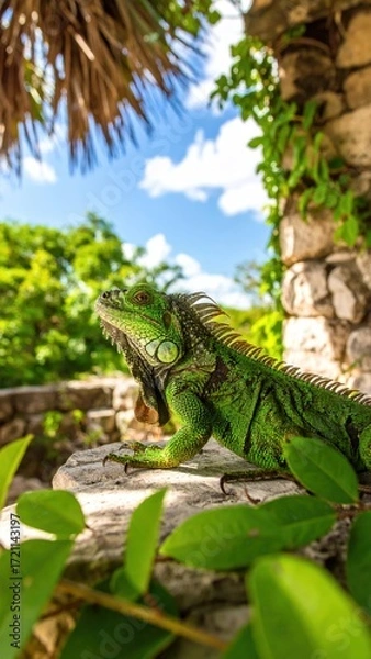 Fototapeta Vibrant Green Iguana Resting on Stone with Lush Tropics in Background