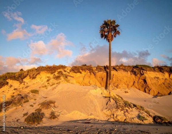Obraz Coastal dune landscape at sunset