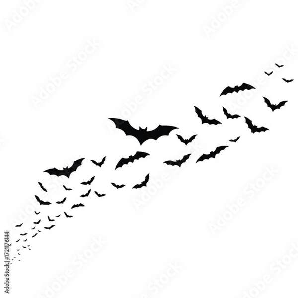 Fototapeta Silhouetted bats of varied sizes flocking upward on a white background
