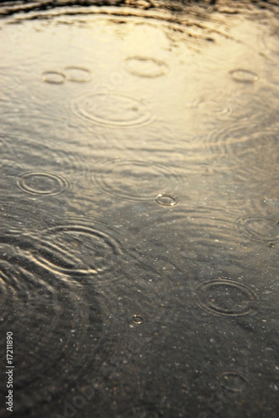 Fototapeta 雨の表情