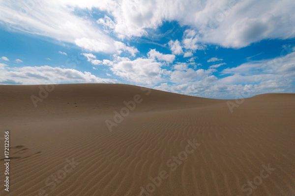 Obraz 砂漠