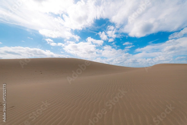 Obraz 砂漠