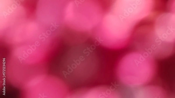 Fototapeta Pink Bokeh Background