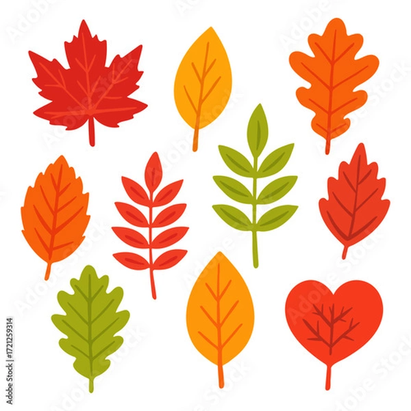 Fototapeta Set of colorful autumn leaves without outline, flat style