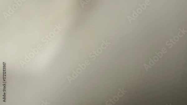 Fototapeta Soft Beige Gray Gradient Blend Background