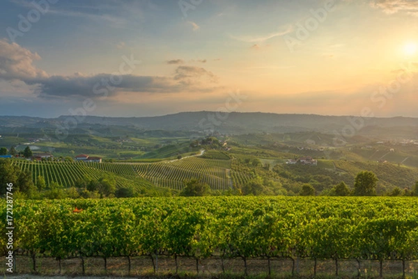 Fototapeta Langhe vineyards and Grinzane Cavour village and castle in the background, Piedmont, Italy