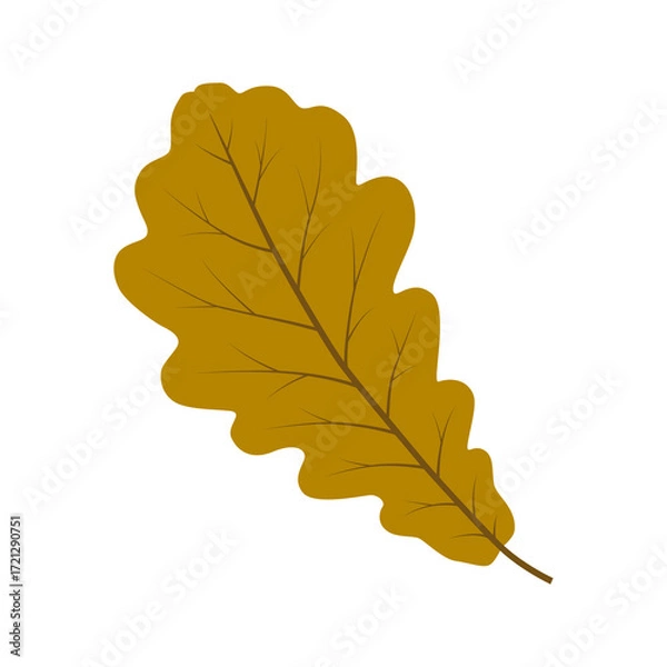 Obraz Oak leaf. Color vector illustration. PNG with transparent background.	