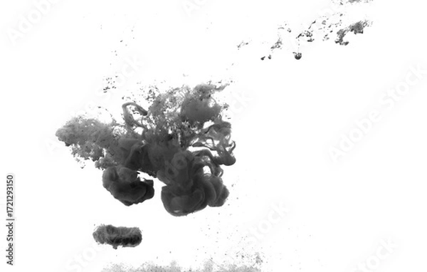 Fototapeta Black color-ink dye melt on white background,Abstract smoke pattern,Colored liquid dye,Splash paint