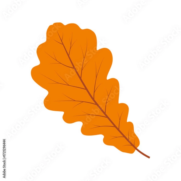 Obraz Oak leaf. Color vector illustration. PNG with transparent background.	