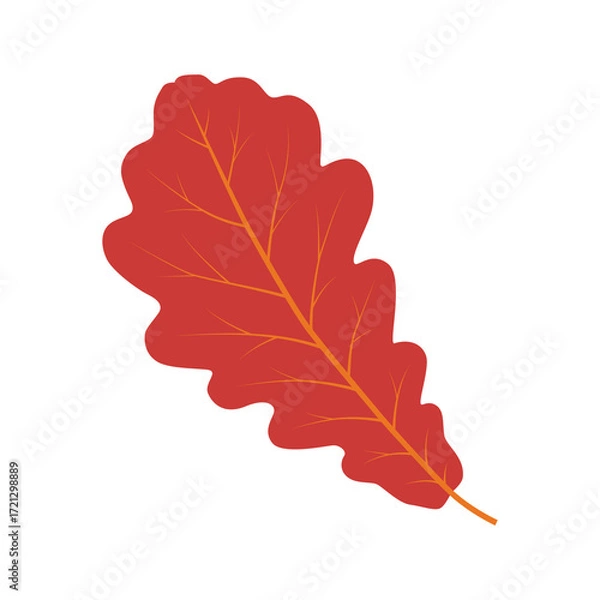 Obraz Oak leaf. Color vector illustration. PNG with transparent background.	