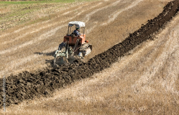 Obraz Aratura dei campi - Calitri (Avellino)