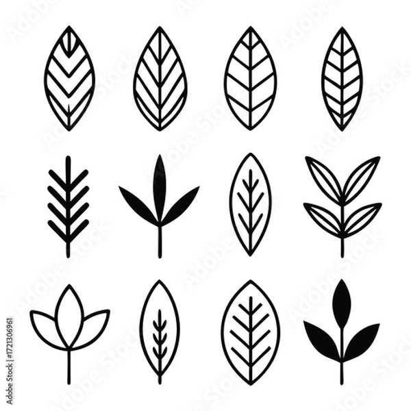 Obraz Collection of twelve stylized leaf and branch icons