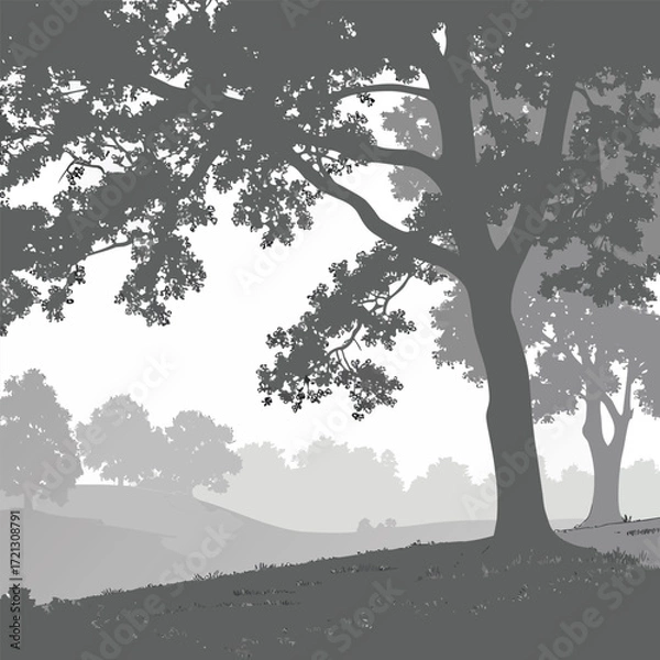 Obraz Grayscale Oak Tree Landscape with Rolling Hills nature