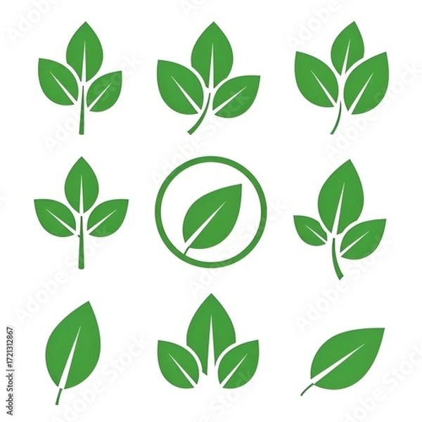 Fototapeta Set of green leaf illustrations for nature-themed design