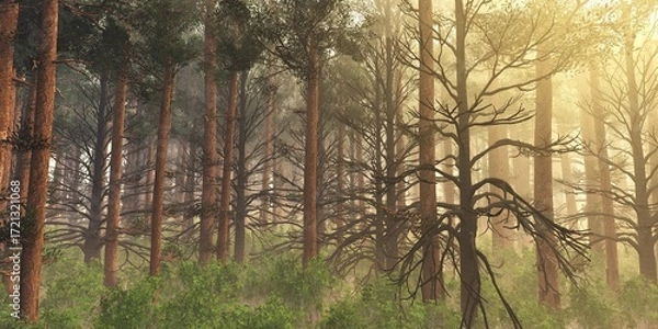 Obraz Forest in the morning in a fog in the sun, trees in a haze of light, glowing fog among the trees, 3D rendering