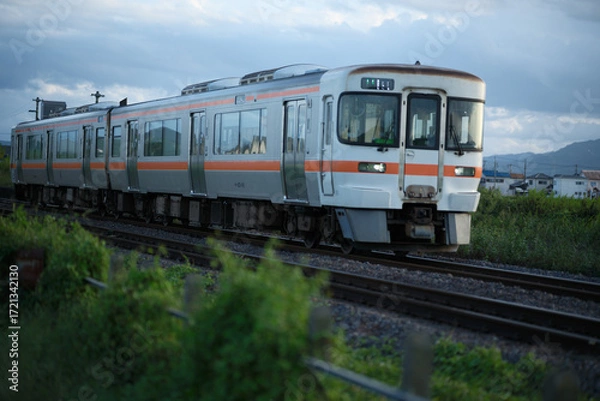 Obraz 田舎の風景と電車