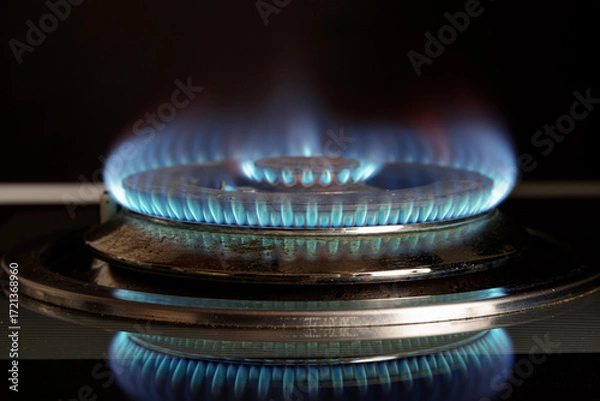 Fototapeta Gas stove is turned on. Closeup view of burning flame