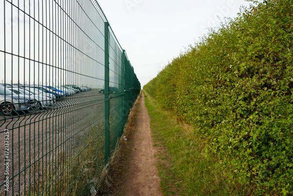 Obraz Green fence and hedgerow path alongside East Midlands Airport Trail, Nottinghamshire, England: a tranquil countryside walk