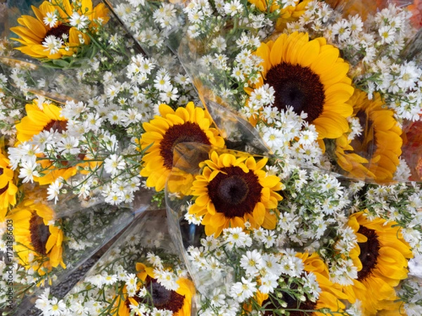 Fototapeta Beauitful Flowers pattern for nature background.