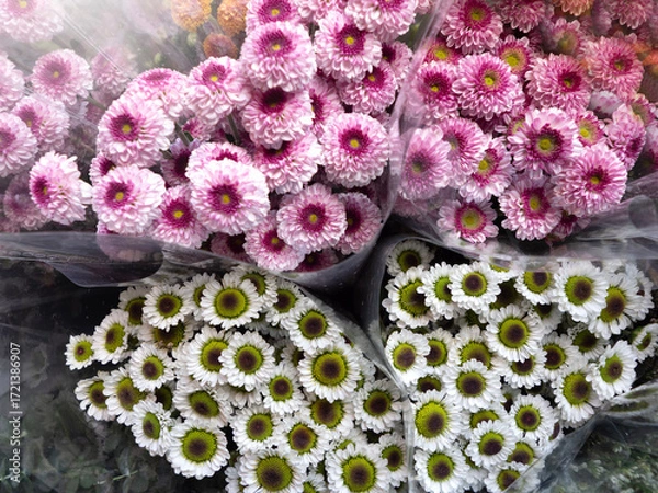 Fototapeta Beauitful Flowers pattern for nature background.