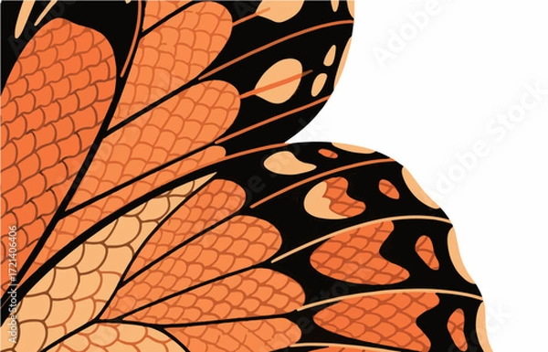Fototapeta Insect vector graphics