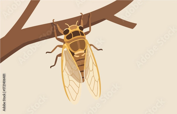 Fototapeta Insect vector graphics