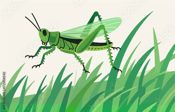Fototapeta Insect vector graphics