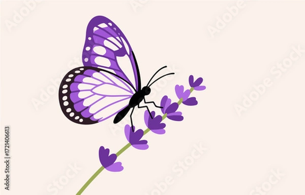 Fototapeta Insect vector graphics