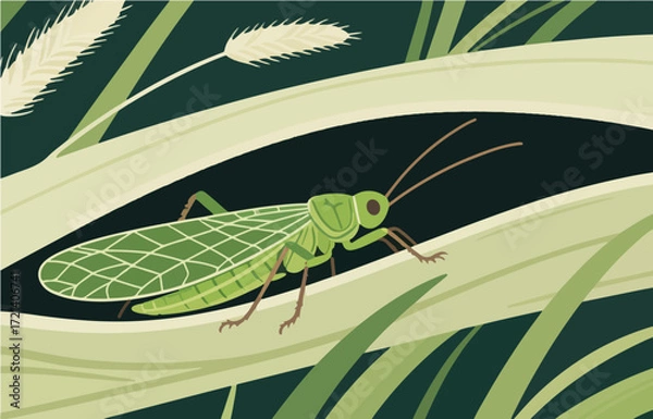 Fototapeta Insect vector graphics