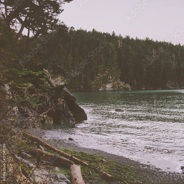 Obraz Pacific Northwest Beach